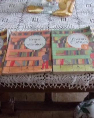 4Guide didattiche scuola media, Itinerari lettura