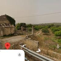 Terreno agricolo coltivato ad arance tarocco