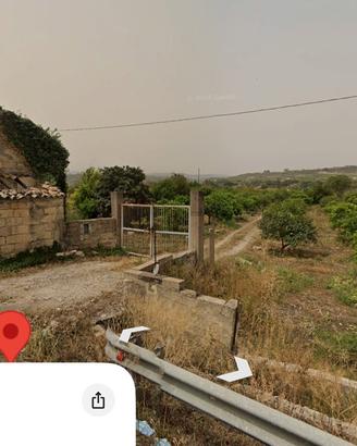 Terreno agricolo coltivato ad arance tarocco