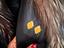 Immagine 5