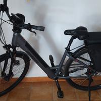 bicicletta elettrica 