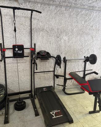 Palestra completa
