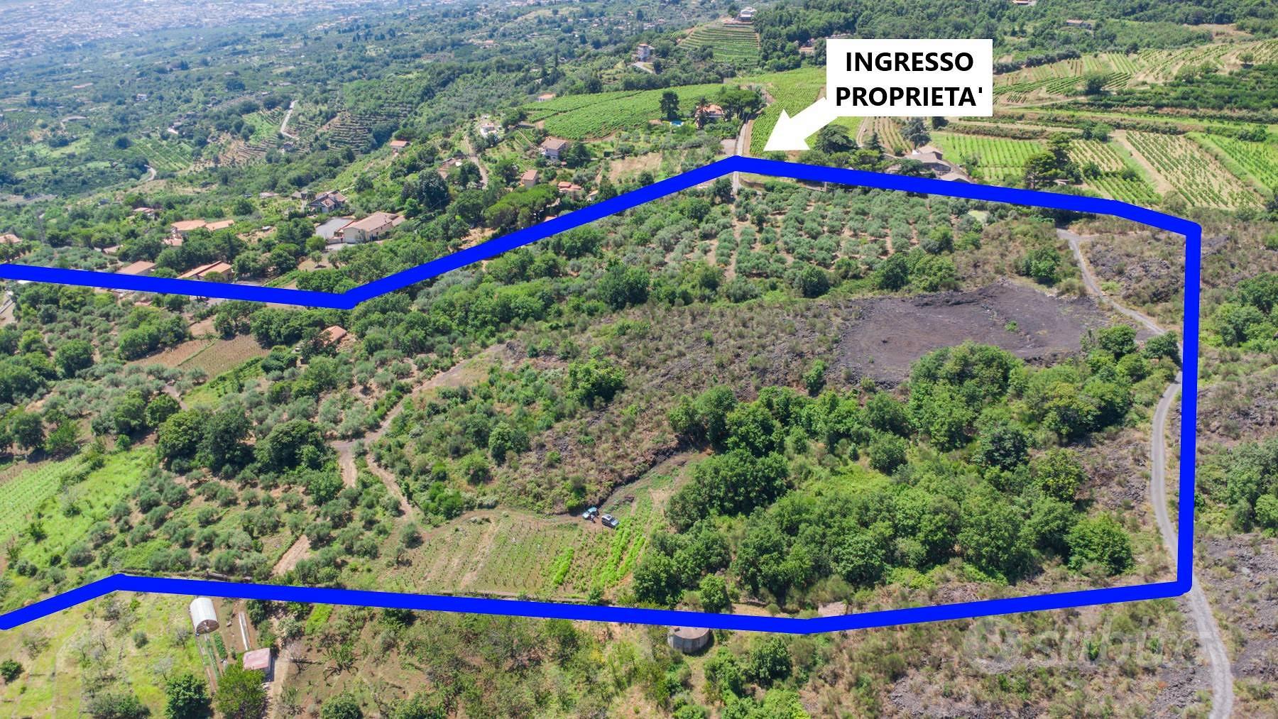 Terreno agricolo - Mascali - Vista 4