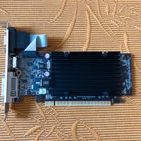 Nvidia GeForce 210