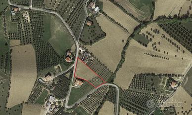 Terreno Agricolo a Settecolli - Tortoreto Alto(TE)