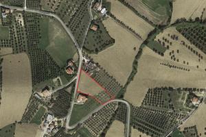 Terreno Agricolo a Settecolli - Tortoreto Alto(TE)