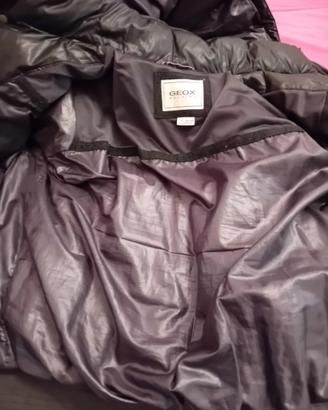 Giubbotto bomber piumino Geox 