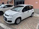 fiat-panda-1-0-firefly-s-s-hybrid-easy