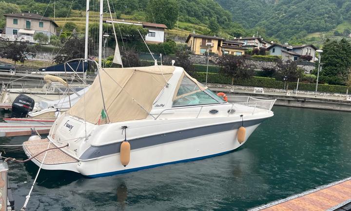 Barca Usata-Sea Ray 290 Sundancer