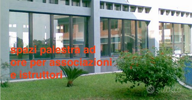 Palestra centrale