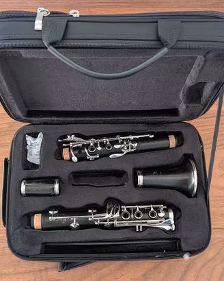 Buffet Crampon R13 Greenline Clarinetto Profession