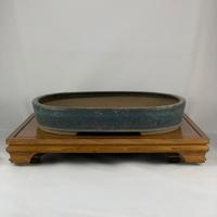 Vaso bonsai tokoname Suishoen