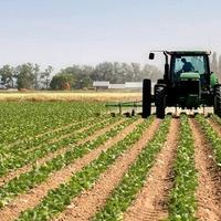 Lavoratore agricolo