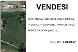 Terreno Agricolo Sedilo