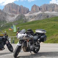 Yamaha FZS 1000 Fazer - 2002 Ohlins Hyperpro