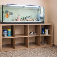 Acquario