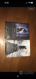 Libri fantasy angeli Fallen e Torment