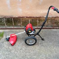  decespugliatore 