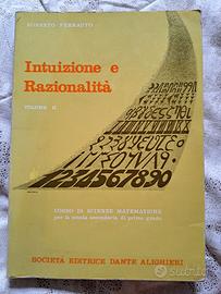 Intuizione e razionalità, corso di matematica