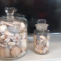 vasi in vetro con conchiglie 🐚