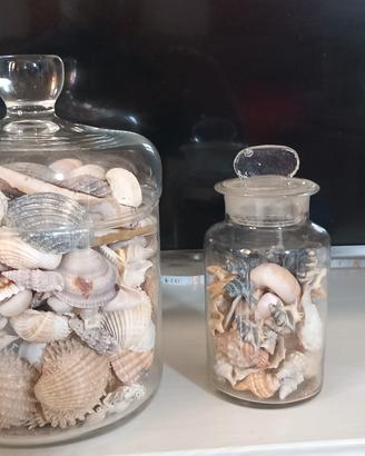 vasi in vetro con conchiglie 🐚