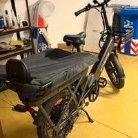 Engwe LE20 Cargo Ebike