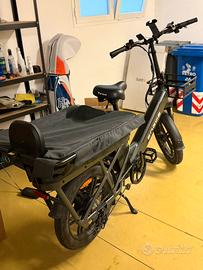 Engwe LE20 Cargo Ebike