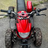 Quad