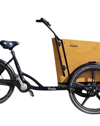 Cargo Bike SUn