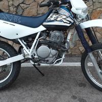 Honda Dall'Ara XR 600 - 1996