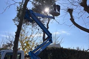 Piattaforme aeree cestello