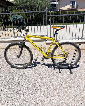 Bici MTM
