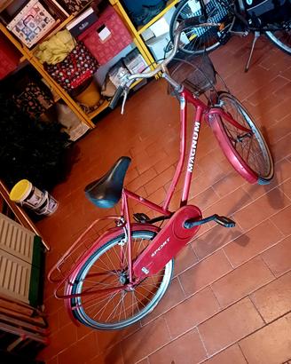 bicicletta