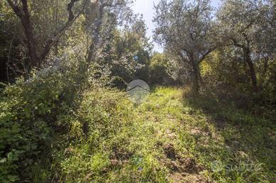 RUSTICO A PALOMBARA SABINA