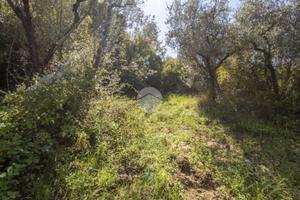 RUSTICO A PALOMBARA SABINA