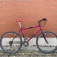 Bici da ragazzo mosconi