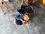 Immagine 2