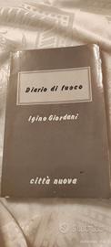 Diario di fuoco 