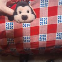 peluche coccinella 