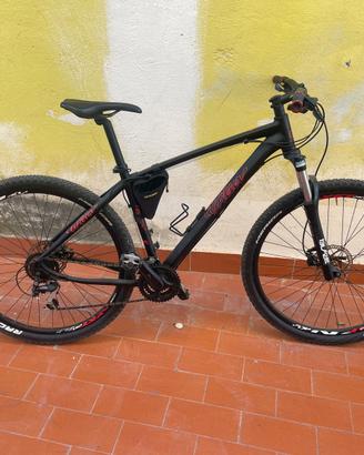 Mtb 29