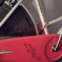 bici da donna tipo olandese