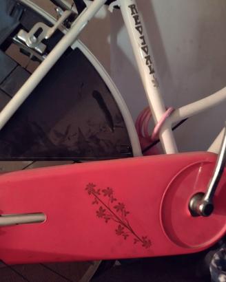 bici da donna tipo olandese