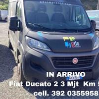 Fiat Ducato 33 2.3Mjt(KM 59803-IVA INCL