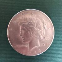 Dollaro d'argento 1924