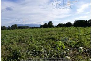 Terreno Agricolo Serre [A4341672]