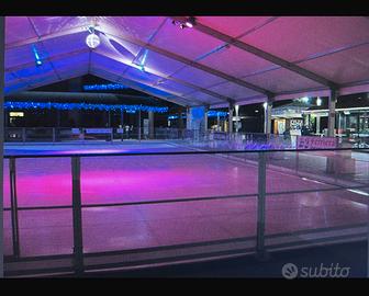 Pista di pattinaggio