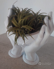 Vaso con mani a forma di cuore