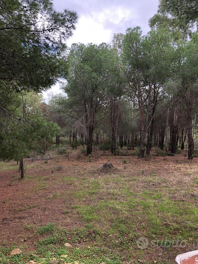 Terreno turistico-alberghiero - Altro