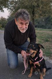 Educatore Cinofilo Professionista