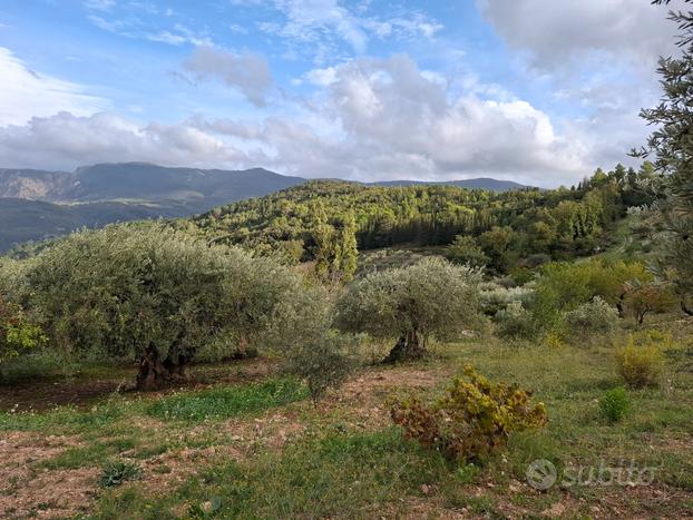 Terreno agricolo con Uliveto